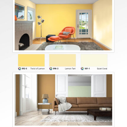 สีเบเยอร์ วัน สีสำเร็จรูปพร้อมใช้ผสมรองพื้น รายแรกและรายเดียวในประเทศไทย - สี อุปกรณ์ทาสี เคมีภัณฑ์ กระบี่ | PS HOME KRABI ราคาถูก