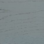 Super Matt - Dark Grey